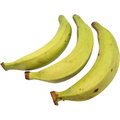 Grüne Kochbananen (Plantains) – Vielseitige Tropenfrucht für Herzhaftes