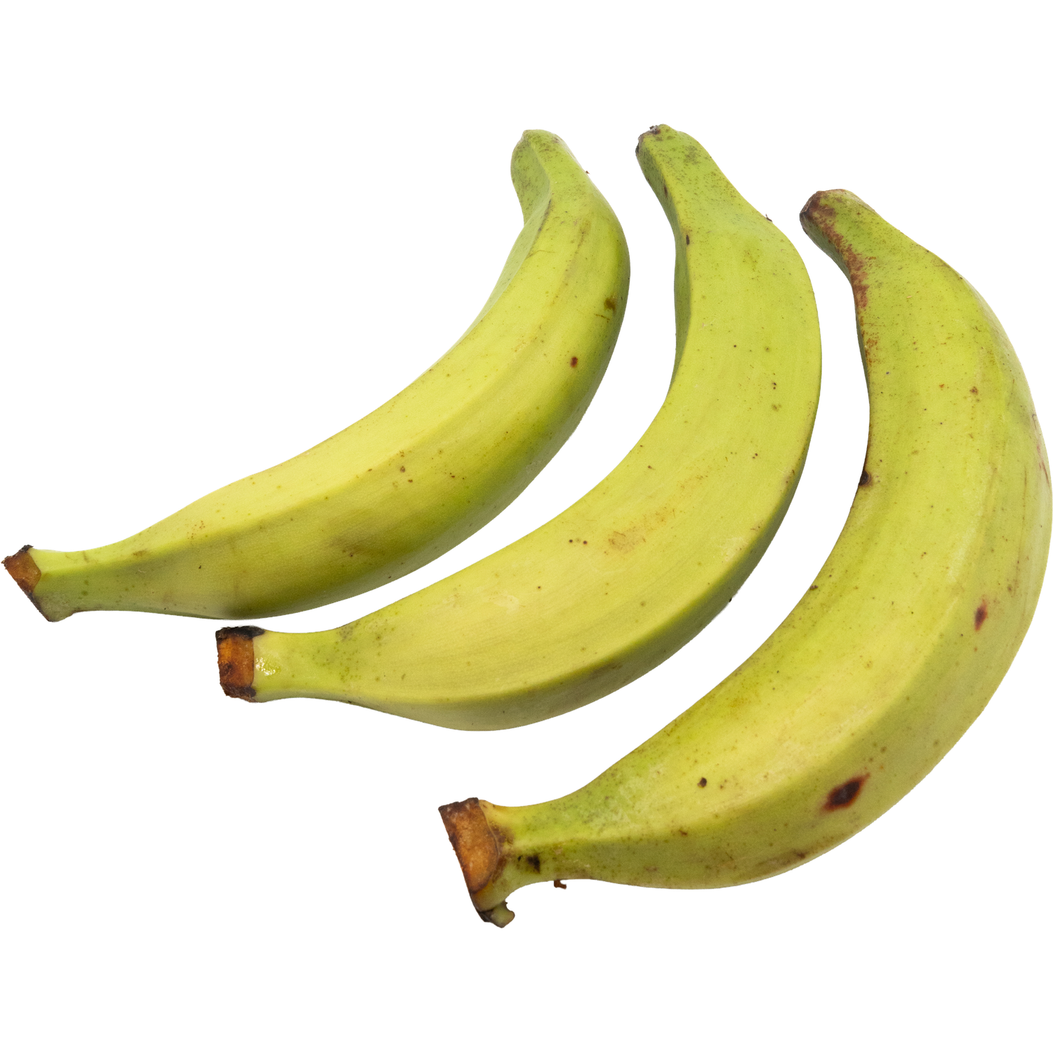 Grüne Kochbananen (Plantains) – Vielseitige Tropenfrucht für Herzhaftes